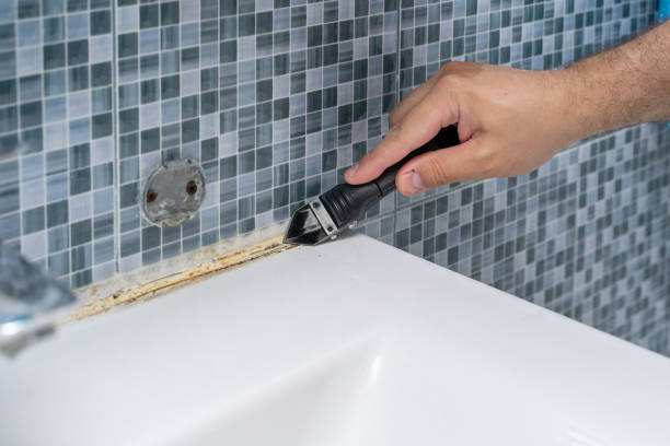 Best Mold Remediation for Specific Building Types in Stone Park, IL